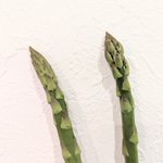 アスパラガスにはオスとメスがいる？!それぞれの見分け方と特徴!