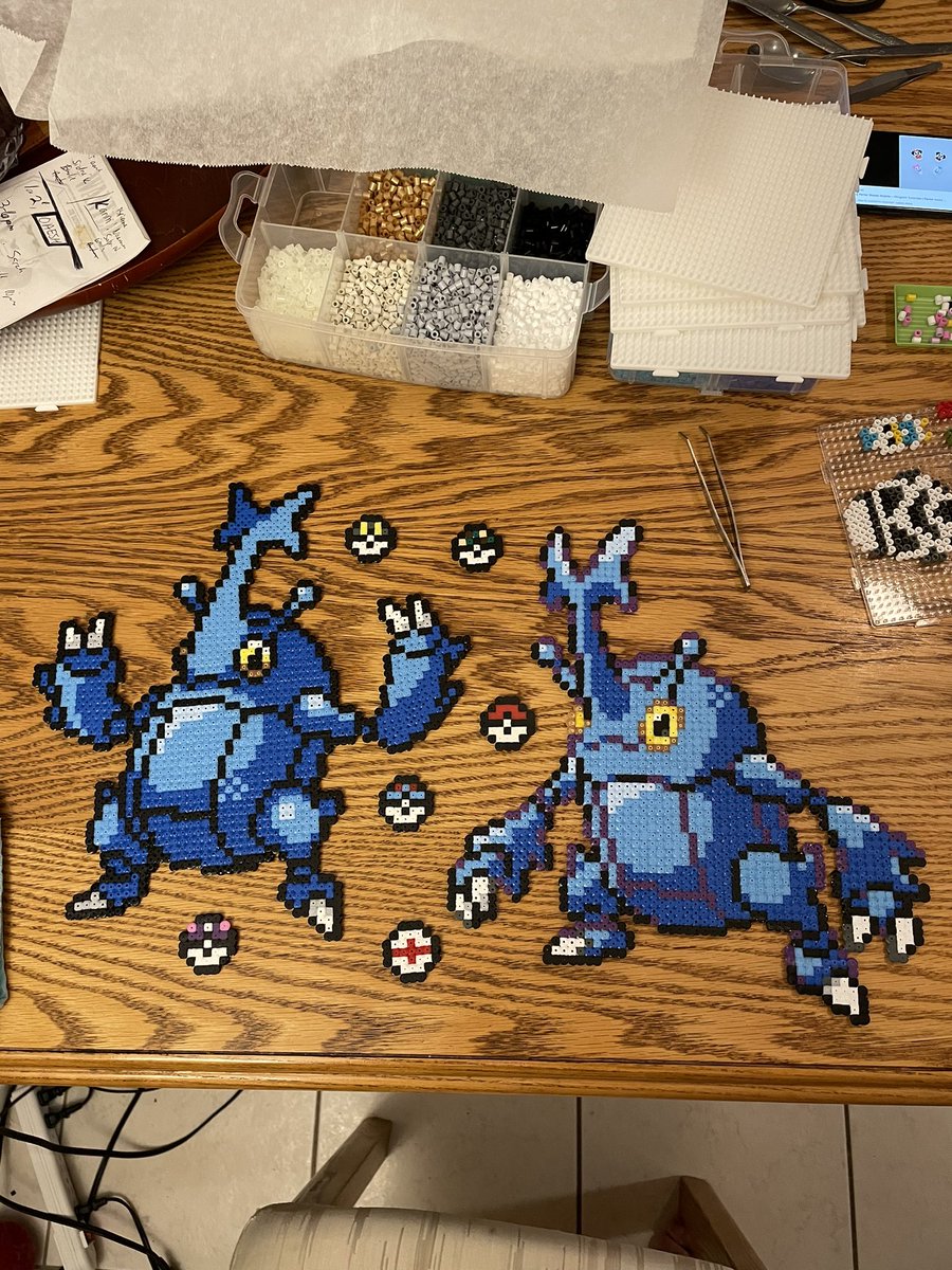 Kimarhi's tweet photo. @PokemonBeWillin Heracross for life! https://t.co/LJgUlGLx8Z