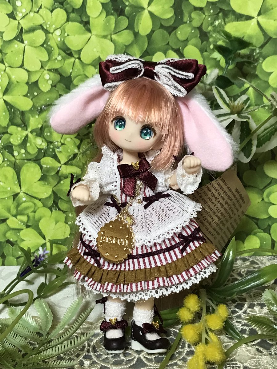 yuminyummy's tweet photo. ビスケティーナちゃん
やっとお迎えできました♡
長かった〜
可愛い〜♡ https://t.co/L1LbVG9U9n