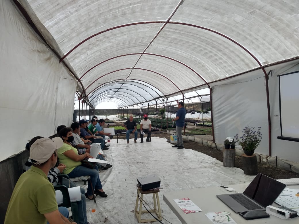 OPFexpo's tweet photo. El día de hoy llevamos a cabo una gira de presentación de OPF Expo 2022, trabajo de encuestas productivas y capacitación técnica con viveristas del estado de Morelos.

@FIDECOMP @Agricultura_mex @SDEyT_Morelos  #CEPOMAC

#viveristas #Morelos #Ornamentales #opfexpo https://t.co/79BN6bXiEM