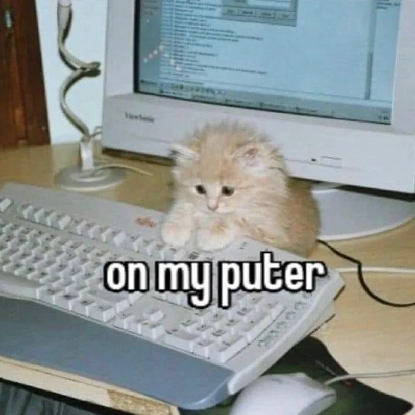 catpicsdealer's tweet image. 