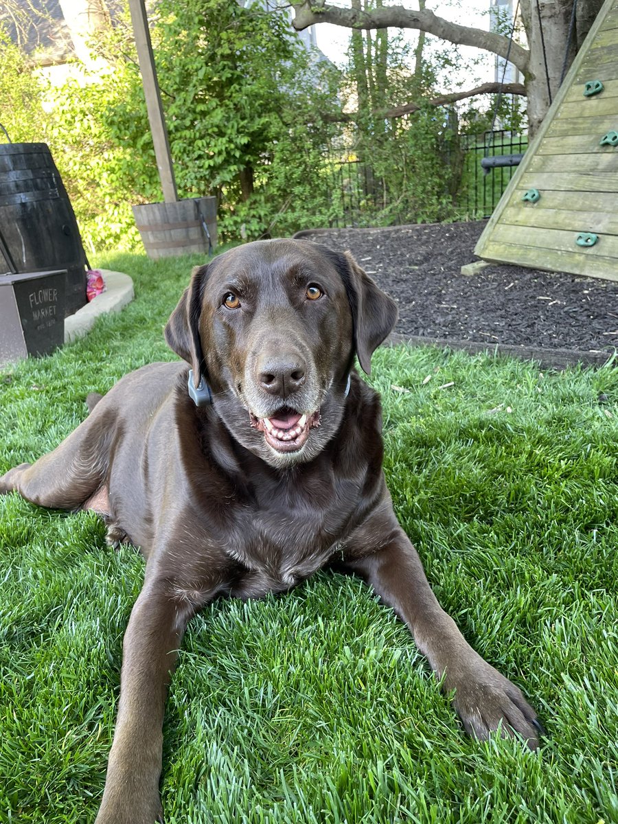 Julie Holt tweet media