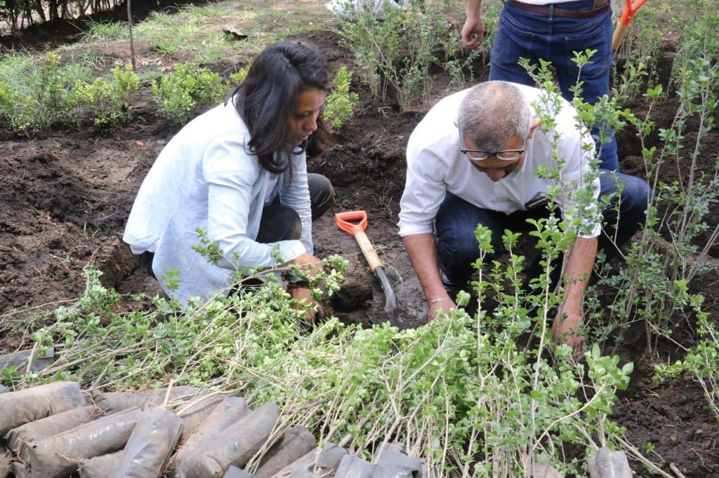 Claudiashein's tweet photo. Estamos revegetando la Ciudad de México. Ya son 20 millones de plantas y árboles que hemos plantado como parte del programa #RetoVerde. Les comparto esta foto para conmemorar el #DíaDeLaTierra. https://t.co/QgpxUJSQAL