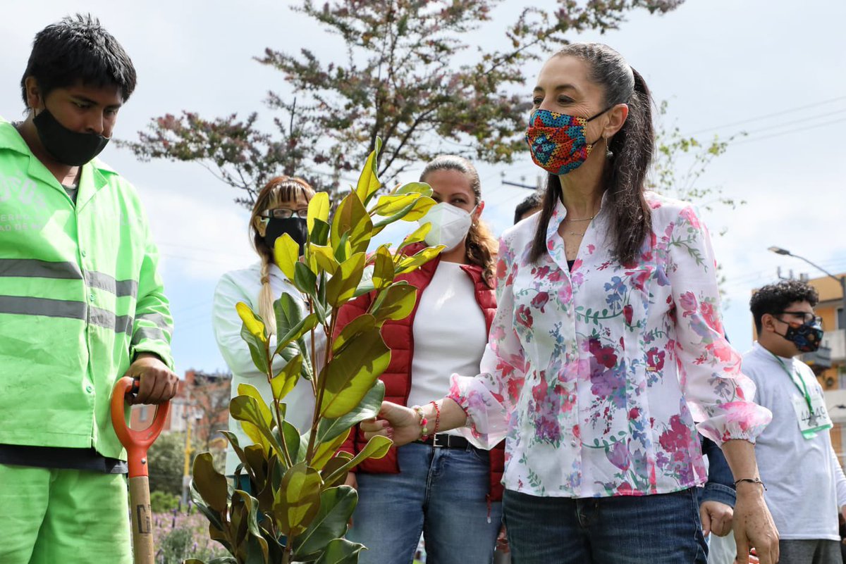 Claudiashein's tweet photo. Estamos revegetando la Ciudad de México. Ya son 20 millones de plantas y árboles que hemos plantado como parte del programa #RetoVerde. Les comparto esta foto para conmemorar el #DíaDeLaTierra. https://t.co/QgpxUJSQAL