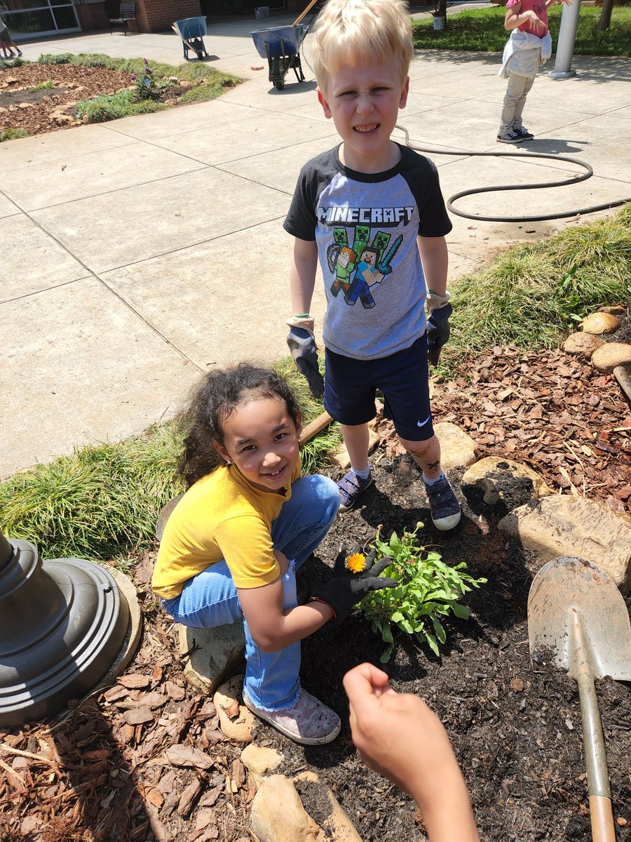 SciSean's tweet photo. Our #butterfly garden is completely redesigned @MabletonES we added butterfly bushes, cone flowers, a bunch of seeds, we transplanted, what a day @OutTeachEd @captainplanetfd @CobbSchools @STEMcobb https://t.co/YzlL9bCYw6