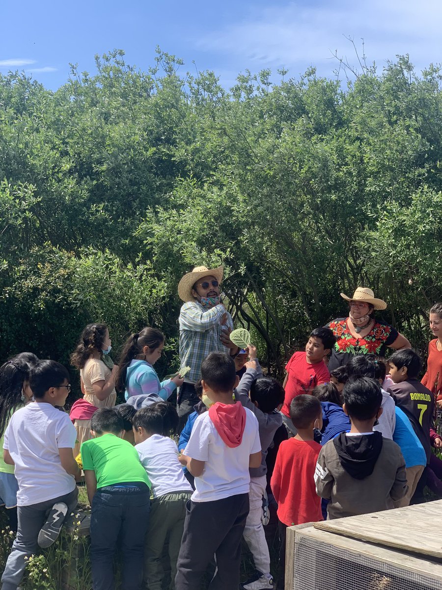 PODERSF's tweet photo. At #HummingbirdFarm, Earth Day is everyday. We honor & give thanks to mama earth every day. Grateful for the hands from Balboa HS, Guadalupe School, SF Community School who joined us to learn about #ClimateJustice & connect to our land based ancestral roots. #Tlazocamatli. https://t.co/BLhAiTF7YI
