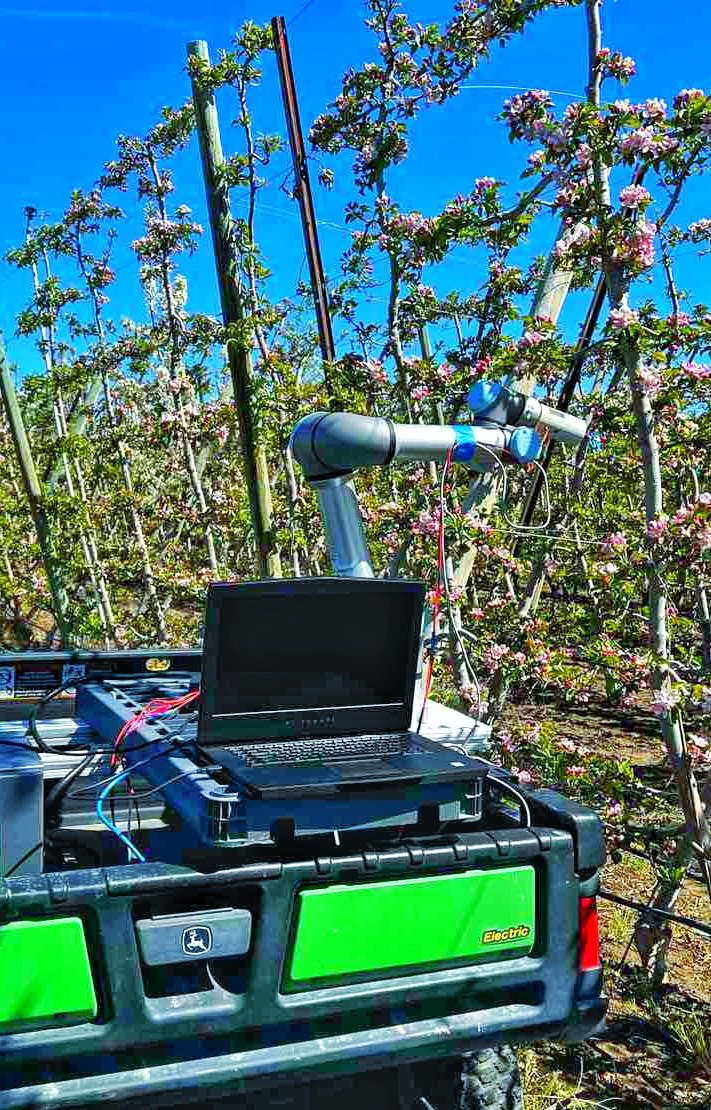 Our innovative group of students and scholars are pushing the boundary of #AgRobotics . Thanks to the dedication and creativity of @uddhav_bhattrai .. on this robotic flower thinning effort..