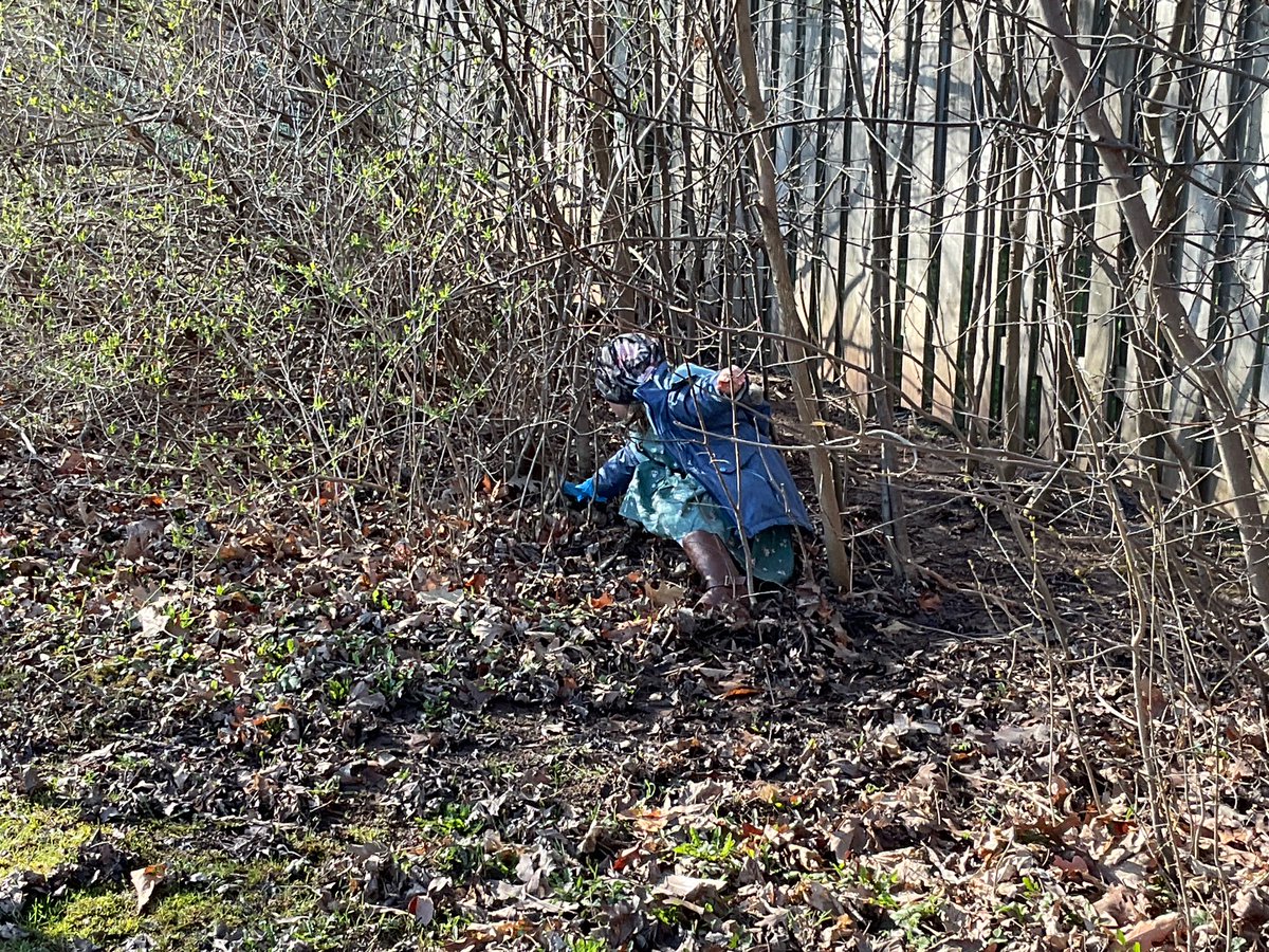 _CLeonard_'s tweet photo. Happy Earth Day!  We showed that we care by picking up garbage around the park and the field this morning.
Well done kind friends!
@MohawkGardensPS https://t.co/Ha8KkT8uYQ