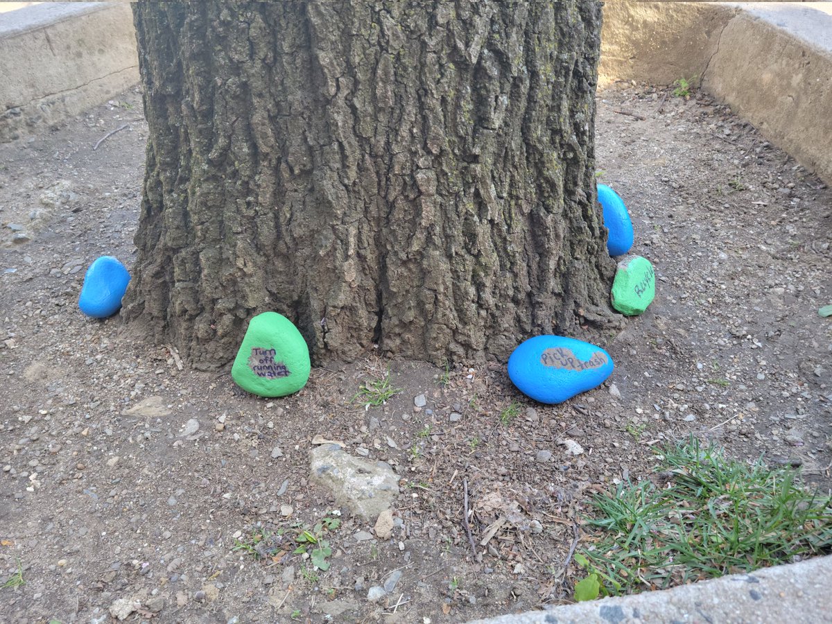 DrVBWyatt's tweet photo. Happy Earth Day! Our students created some important messages and decorated these beautiful rocks! @Cynstarr31 @ScholasticYPS @YonkersSchools @SuptQuezada @mariaAmeyer03 @RcollinsJudon https://t.co/ahNOWeOEld