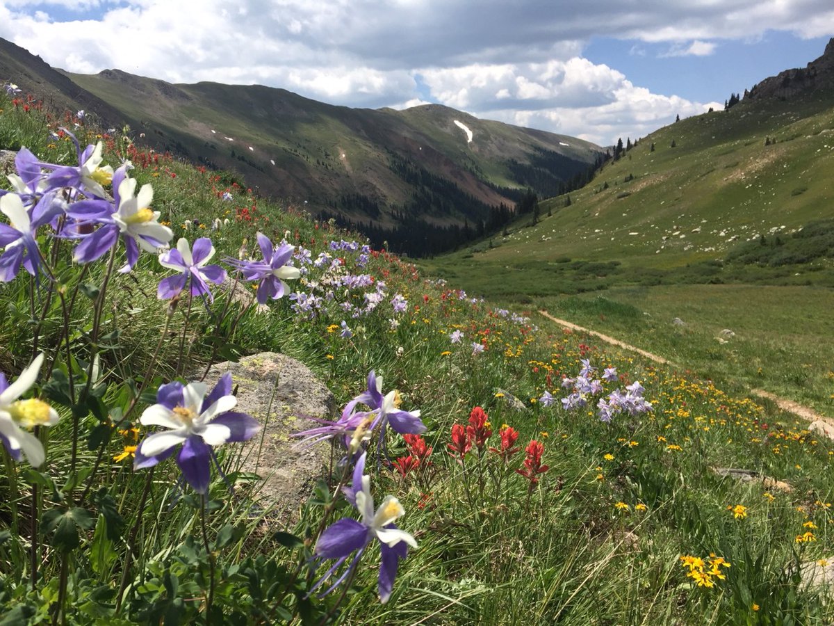 skisummitcove's tweet photo. π Happy Earth Day!
We can't wait for summer views like this! We are all so lucky to live on such an incredible planet, let's all do our best to keep it clean and beautiful. π
.
.
#beautifulearth #earthday2022 #keystone #keystoneco #colorado #coloradowildflowers https://t.co/HHeIBv0yeY