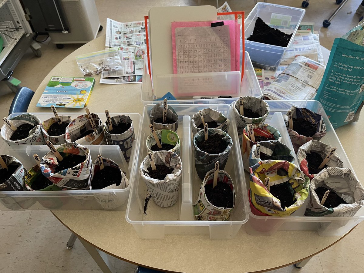 EcoSimcoe's tweet photo. Mrs. Noble’s class with the help of Mrs. Moss making newspaper pots with Milkweed seeds to help our Monarch butterflies. https://t.co/2IqiMlIZKL