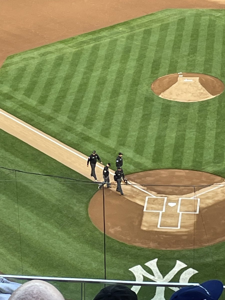 KingcougarMike's tweet photo. @eddiesofficials @EPLSB @rstones199 @_RF30 (here❓) @JohnnyKamen @johnnysfgiants @Sports_JoeG @gilligan80 @bpstampeder54 @Always_Yangry @AndrewPollner #MLB 19 #ForTheLand #Yanks w @QuarterRico @royaltytoursusa MikeAbrams #Lavastida 1st hit 👏 https://t.co/CClipNvv2h
