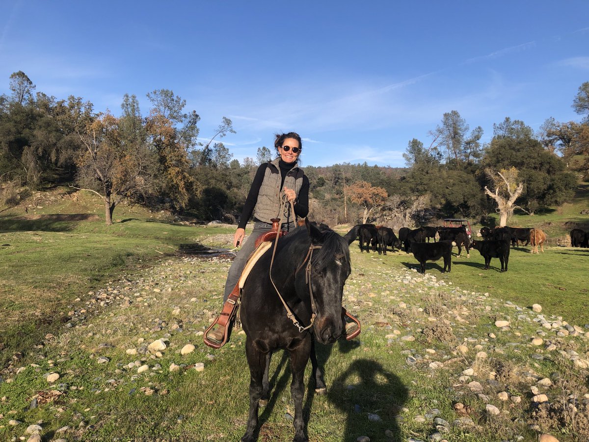 TheLynnHerring's tweet image. #EarthDay is my 2nd Thanksgiving, I am thankful 4 all things Nature gives us &amp;amp; grateful 2 all those who r trying 2 protect our Earth &amp;amp; grateful 2 our Earth for putting up with us humans, so far. I think we are truly trying her patience. We can do better &amp;amp; I will keep trying🦋❤️🌎