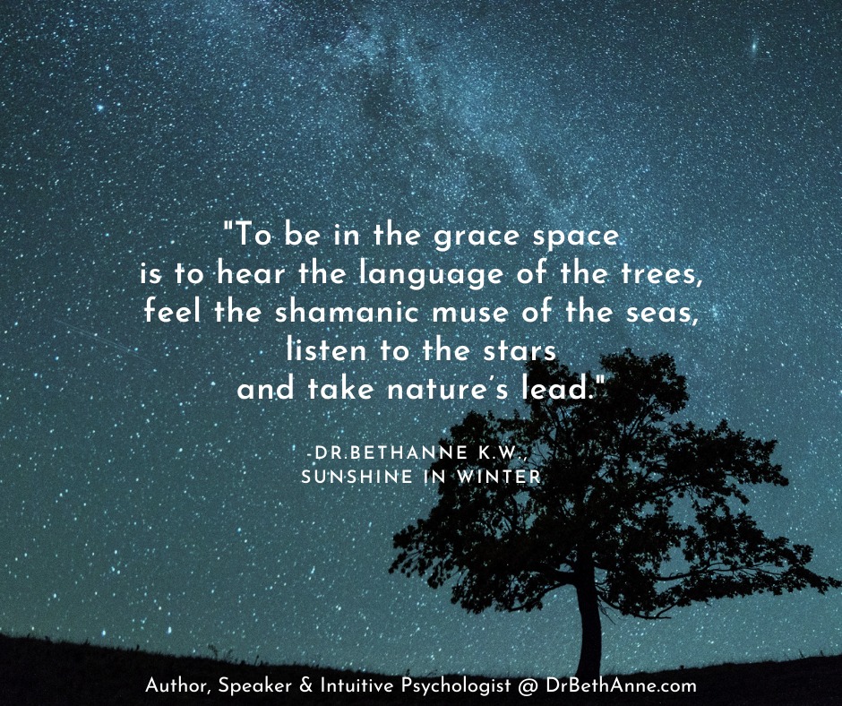 DrBethAnneKW's tweet photo. Breathe in Nature’s wisdom. 🌳🌠💚
✨
From my blog, Sunshine In Winter: https://t.co/a2MLN0uVLE
.
.
✨
.
.
#DrBethAnneKW #SunshineInWinter #Nature #Wisdom #StarsTreesAndSeas #Grace #IntuitivePsychologist #SpiritualPsychologist https://t.co/OU2GP1jl4n
