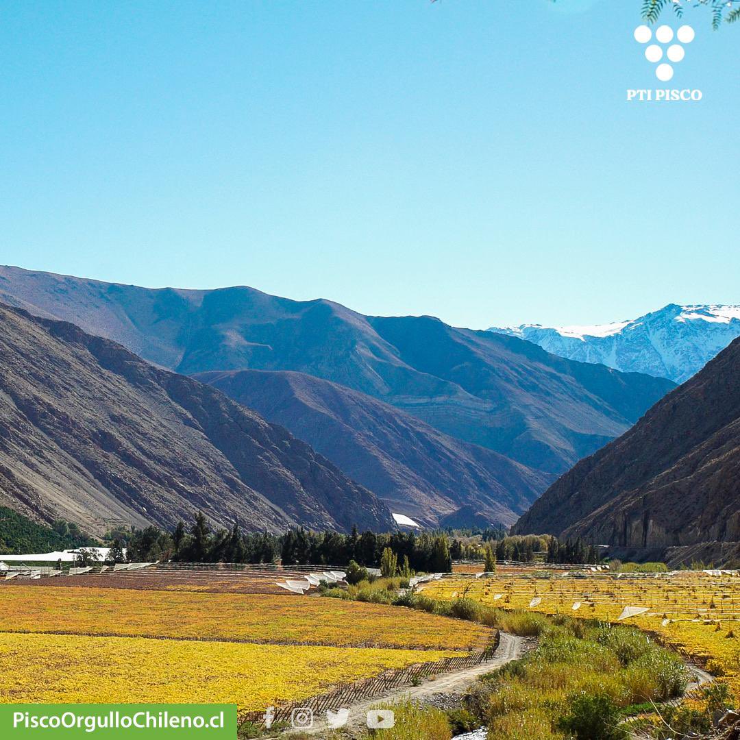 #DiaDeLaTierra Porque de la #tierra nace el pisco que tanto adoramos, producto de sus frutos nobles que surgen de los hermosos valles de las regiones de Atacama y Coquimbo. Hoy rendimos homenaje a nuestro planeta y fortalecemos nuestro compromiso con su cuidado 🏞