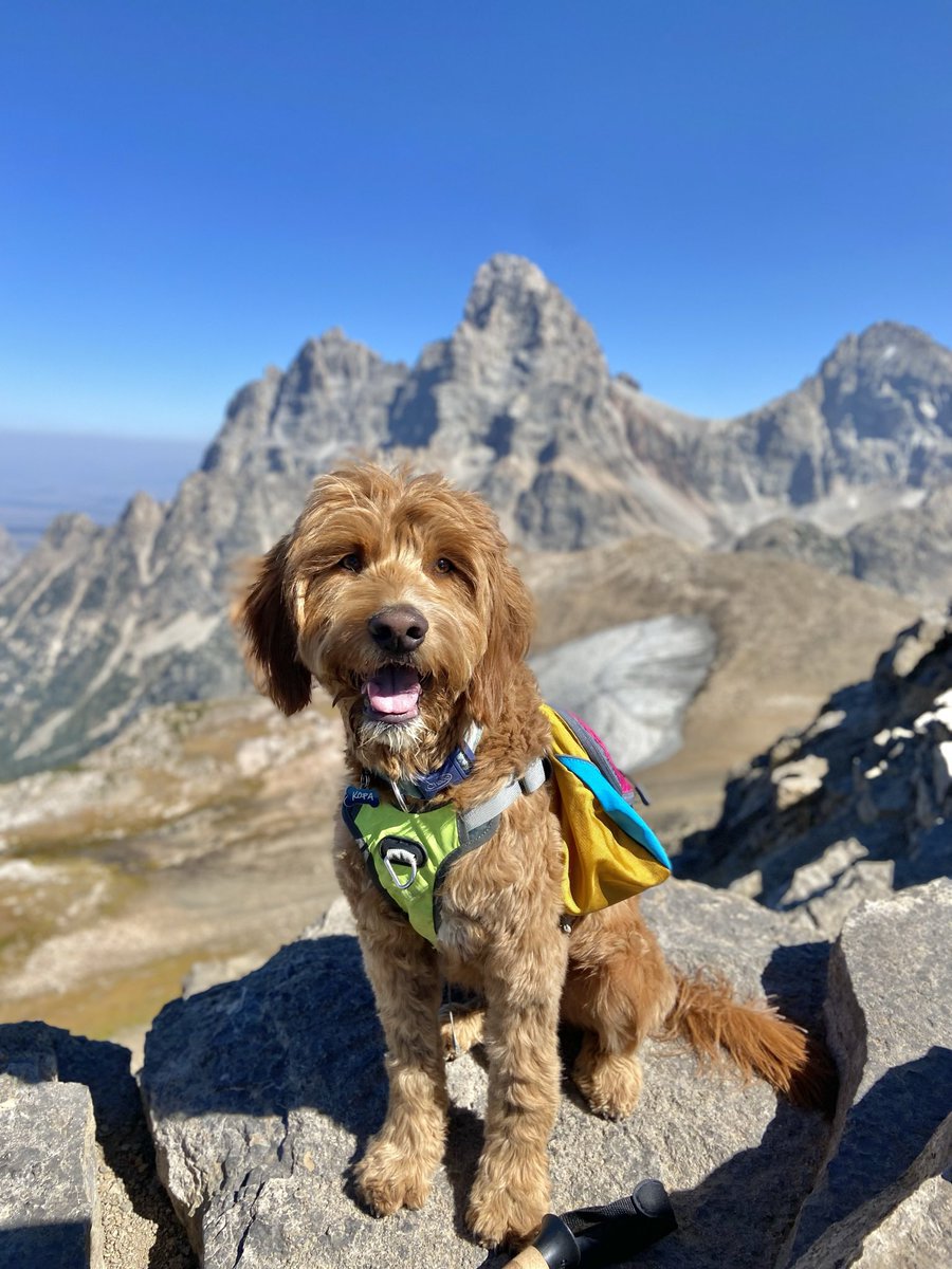 Happy Earth Day! 🌎 
#EarthDay #EarthDay2022 #happyearthday