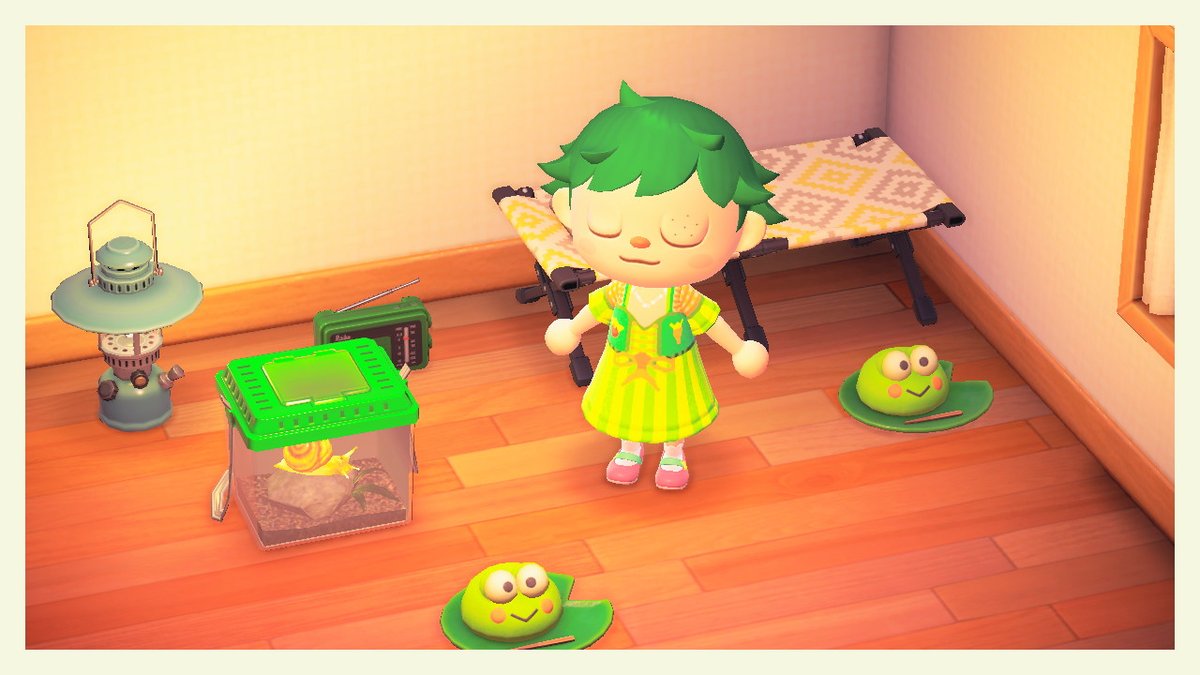 G1ftedT's tweet photo. Congratulations @investedcrybaby 4 getting sponsored!! Thanks @hellofresh !! Details in thread below. #ICRYxHelloFresh #AnimalCrossing #ACNH #NintendoSwitch https://t.co/HWMssjx9yZ