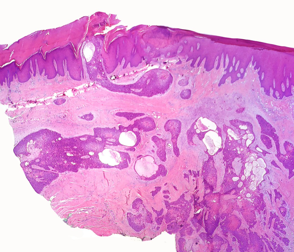 Daniel Skipper tweet media