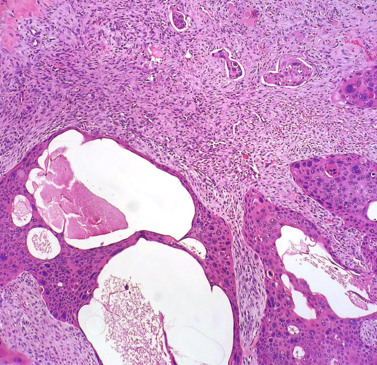 Daniel Skipper tweet media