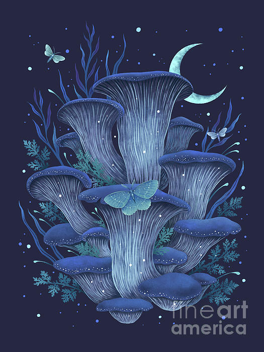 Lea Yunk tweet media