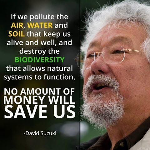 There are #energy alternatives but there are no alternatives to Air, #Water and #Soil... 🦋LJC

#ClimateBrawl <a href="/GeraldKutney/">Gerald Kutney - Politics, Disinformation & Science</a> #EarthDay #EarthDay2022 #FossilFuels #Pollution #cleanenergy #CleanAir #cleanwater #EarthKeepersUnite