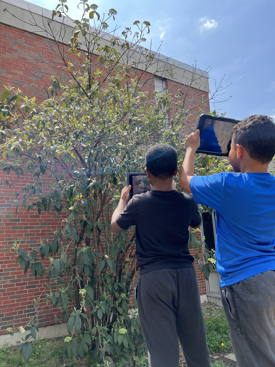 TeamWilliamsBRE's tweet photo. Celebrated #EarthDay by exploring our courtyard using Seek! It was interesting to learn the actual names of some common plants 🌱🌍 #webelieveinBRE https://t.co/pI50UTX8g2