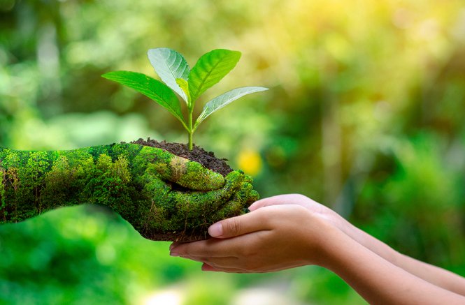 cirqplus's tweet photo. CIRQ+ reduces energy consumption with integrated Energy Management System that has shown to save 20-40% in energy costs. This helps properties do their part to establish a green protocol. Invest into CIRQ+ today to create healthier and a greener planet! https://t.co/NIUiLFB8d1 https://t.co/TLM18VBfeq