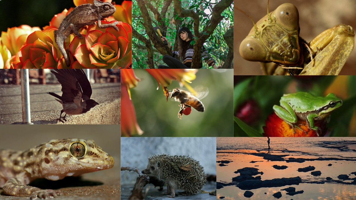 KingLowFii's tweet photo. Gm 🌎 #EarthDay2022 Saturday feeling!

Show me your best photo for #EarthDay - Rt all!

@EarthDay @EarthDayOrg @NatGeoPhotos

#Nft #Nfts #PhotographyNFTs #macrophotography #NFTCommunity #nftcollector #NaturePhotography https://t.co/I7f3H47aLI