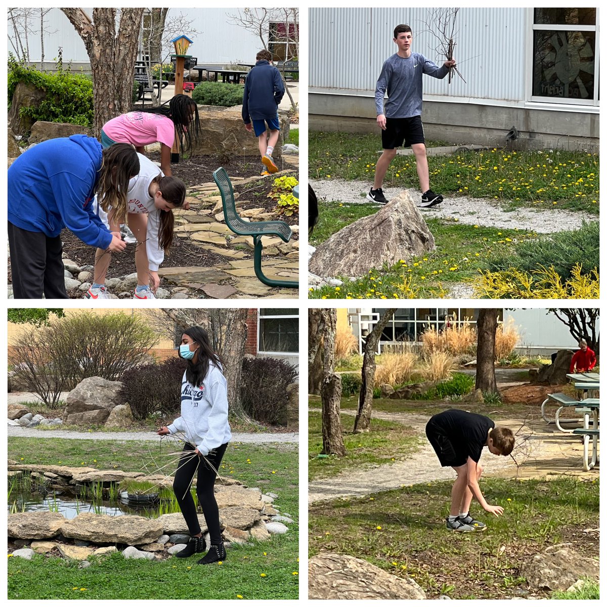 7th grade Flex classes picking up sticks in our beautiful courtyard in honor of Earth Day.   🌍