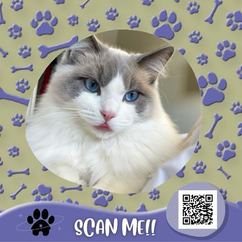 CafeOfPaws's tweet photo. ⠀⠀⠀⠀⠀⠀⠀⠀⠀
⠀⠀⠀⠀[ 🐾 ] YOU RECEIVED A PET!

⠀⠀⠀𓏲 from  ›  https://t.co/jFVzutN9Q4
⠀⠀⠀𓏲 to      ›  @urtaftboykylo

⠀ 💬 “Congratulations for your successful adoption!”
⠀⠀⠀⠀⠀⠀⠀⠀⠀ https://t.co/TFqjvFYTuW
