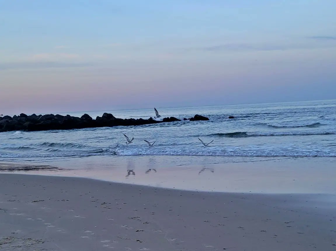 ColomboLaurie's tweet photo. Happy Earth Day 🌎 
#keepourbeachesclean #protectouroceans #ReduceReuseRecycle #ognj #oceangrovenj
#oceangrovenj07756 #oceangrovebeach #treatourearthwithkindness https://t.co/o1ZlqBxwpo