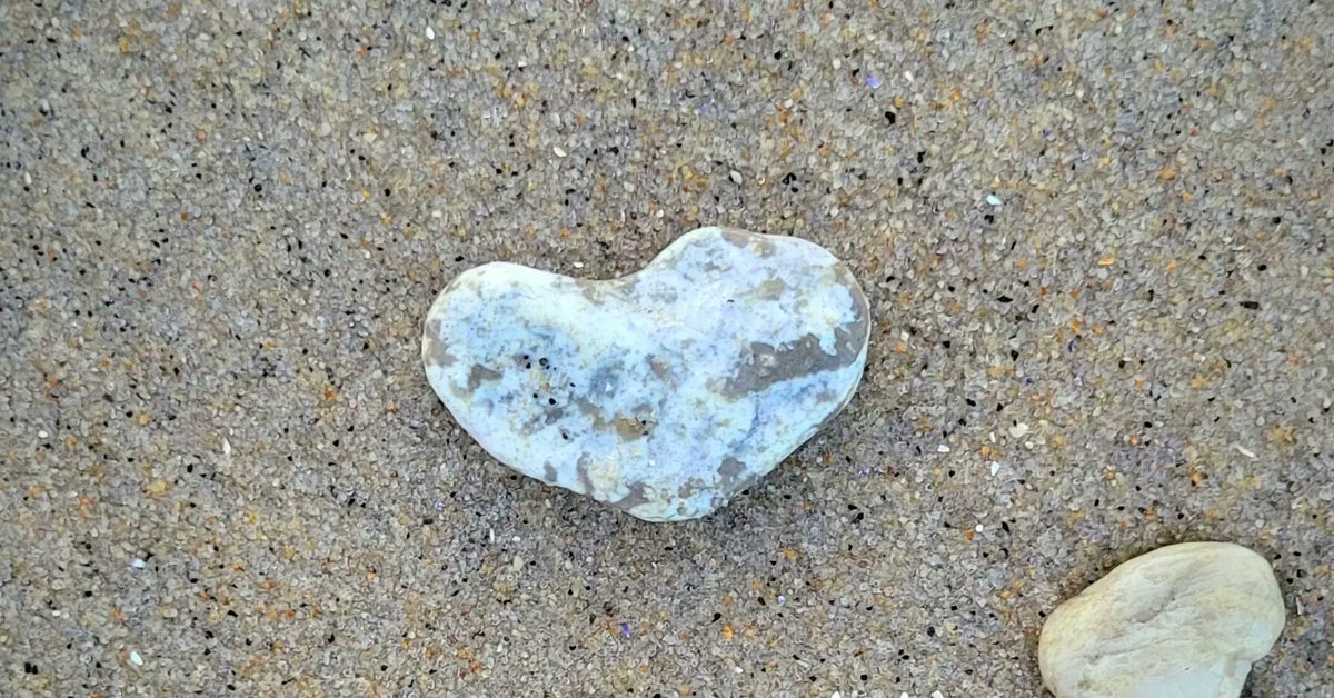 ColomboLaurie's tweet photo. Happy Earth Day 🌎 
#keepourbeachesclean #protectouroceans #ReduceReuseRecycle #ognj #oceangrovenj
#oceangrovenj07756 #oceangrovebeach #treatourearthwithkindness https://t.co/o1ZlqBxwpo