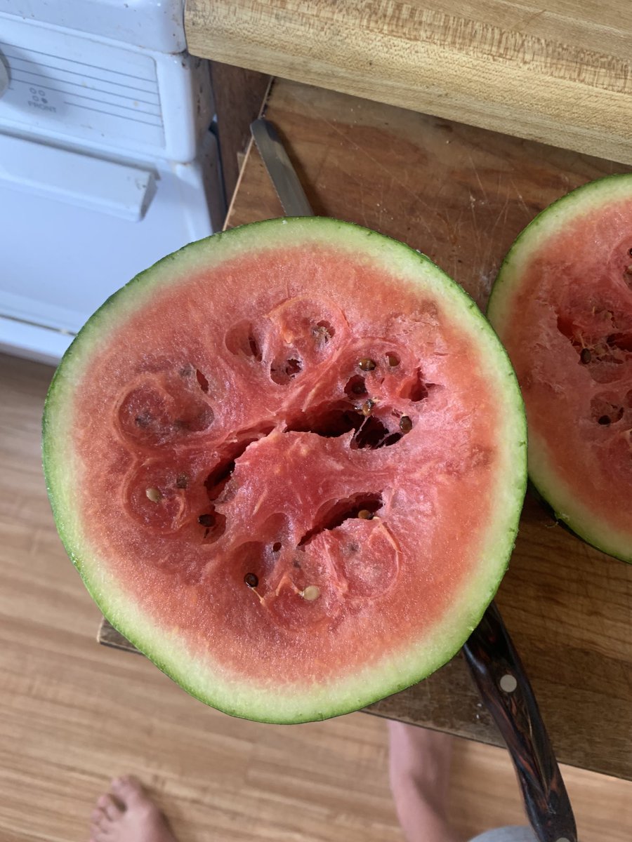 Lucas Kwan Peterson tweet media