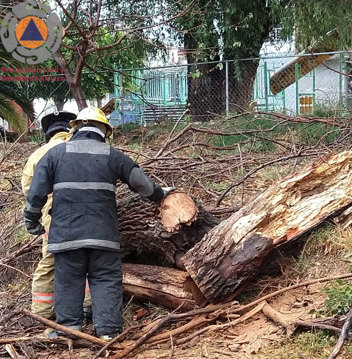 sergioGOQE's tweet photo. #AHORA Vulcanos 🚒 y personal de @PcAtlixco  realiza mitigación de riesgos por árbol🪚🪵 caído en Col. Sta Monica 

🔸Queda libre la vialidad 
🔸No presenta riesgos para la población https://t.co/q4iA4Hxpij