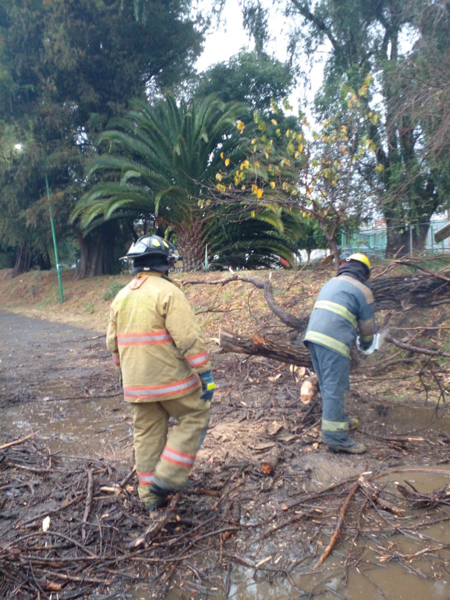 sergioGOQE's tweet photo. #AHORA Vulcanos 🚒 y personal de @PcAtlixco  realiza mitigación de riesgos por árbol🪚🪵 caído en Col. Sta Monica 

🔸Queda libre la vialidad 
🔸No presenta riesgos para la población https://t.co/q4iA4Hxpij