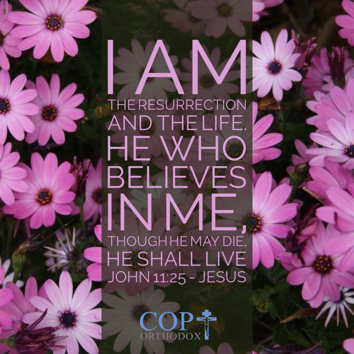 ByFaithDesign's tweet image. 