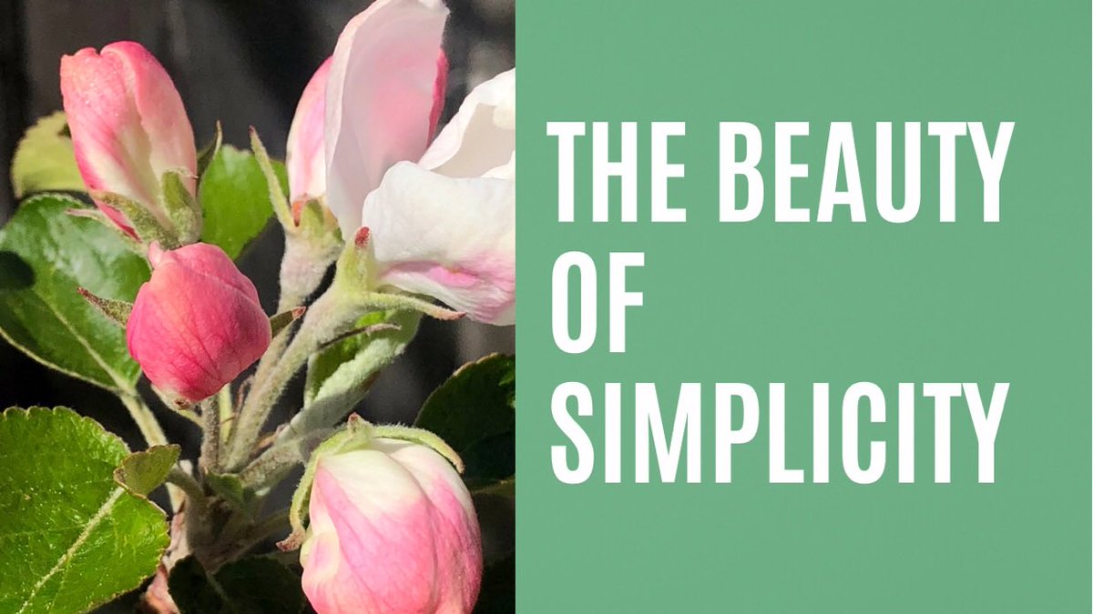 theriverlangley's tweet photo. The Beauty of Simplicity — Hi Friends.

I have a great idea.

Let’s ask God to help us li... https://t.co/inDRsBf5nj https://t.co/5xXag2Svve