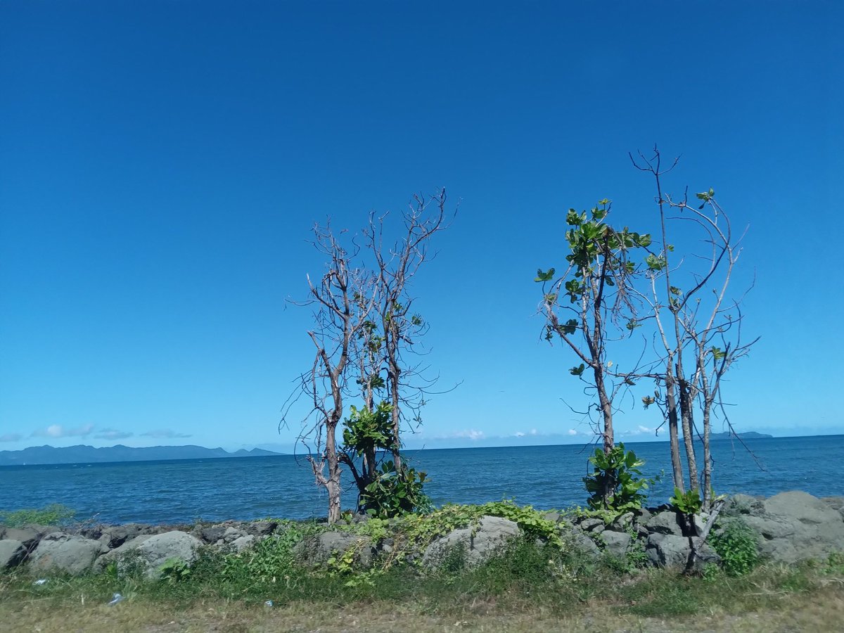tmoeofo's tweet image. Saturday pictures. The beauty of Fiji. #Pacific Harbour #Beqa #Yanuca.
