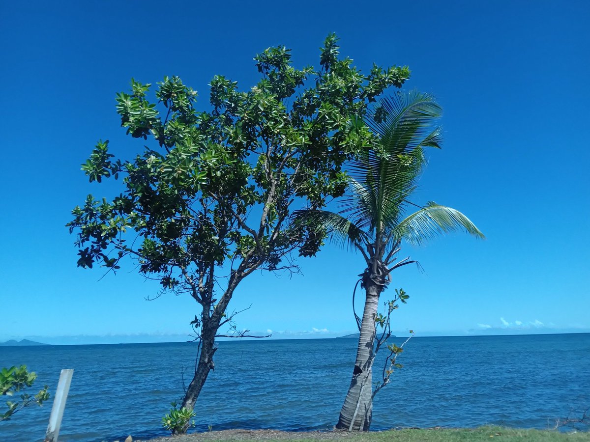 tmoeofo's tweet image. Saturday pictures. The beauty of Fiji. #Pacific Harbour #Beqa #Yanuca.