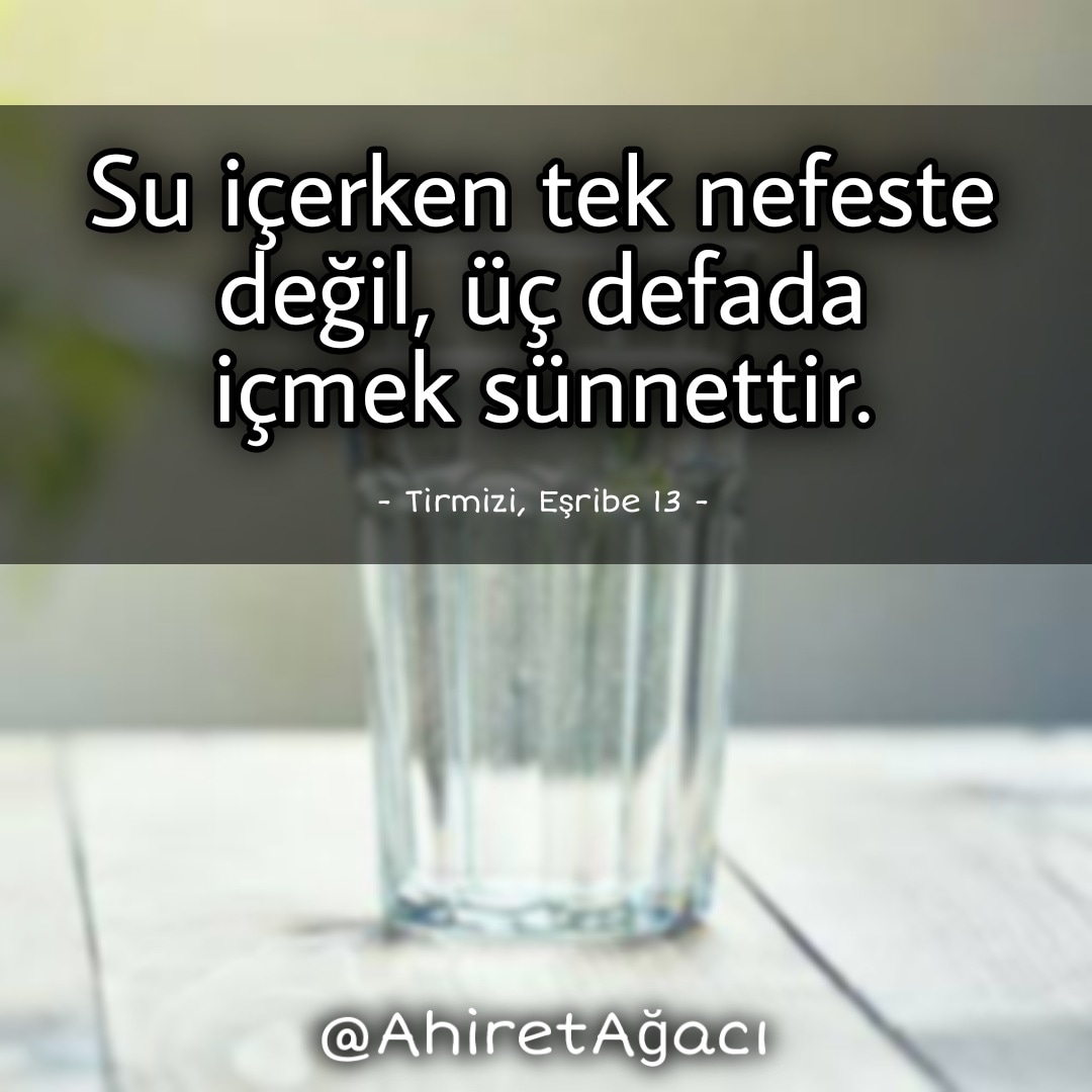• ʜᴀʏıʀʟı ᴄᴜᴍᴀʟᴀʀ

• #SünnetGünü | <a href="/ahiretagaci/">Ahiret Ağacı</a> 🌳

• Bizi takip ederek destek olabilirsiniz. 🙂🤲🕌

#ayet #hadis #sünnet #allah #peygamber #muhammad #muhammed #peygamberefendimizinsünneti #salavat #kuran #kuranıkerim #din #dinisözler #kelam #huzur #namaz #oruç #zekat