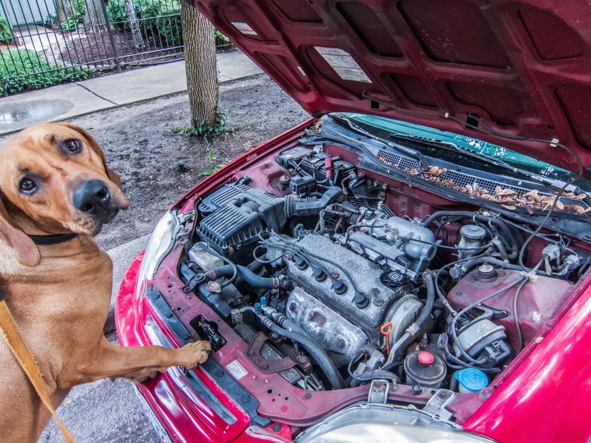 Agatha Chocolats tweet media