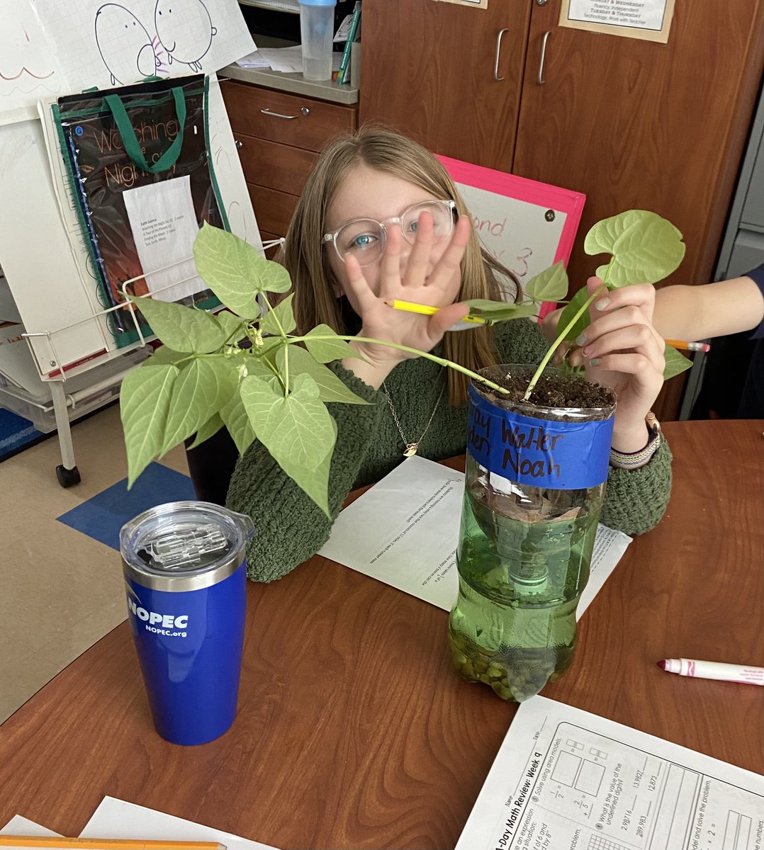 Edible School Yard, Anyone? From our eco-columns, to yours ~ Happy Earth Day! #lifescience #greenbeans #EarthDay2022