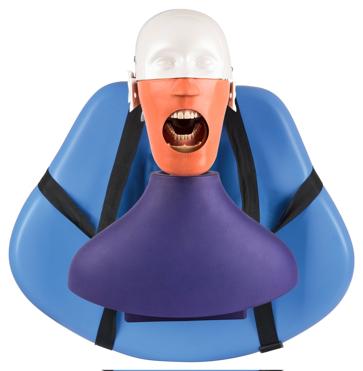 AudreyZHONG3's tweet photo. #Phantomhead for dental training😃 

DA-C1 simulated head+simulated body+adjustable clamp
Link:https://t.co/bYh0yG11d6

DA-C2 simulated head+simulated body
Link:https://t.co/LCUDFWTZLv

DA-C3 simulated head+simulated body
Link:https://t.co/QA1IiL4Jhp https://t.co/eKAiDSqIIo https://t.co/ZBmHX7ulQQ