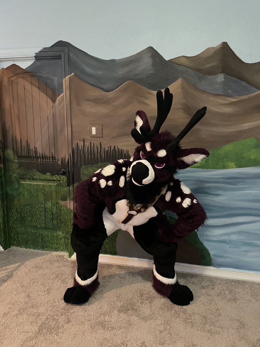 violetance's tweet photo. Happy #FursuitFriday! Hope everyone has been great! Have some poses i did a while back and enjoy the view for those who haven’t seen it, Plum 2.0 head. https://t.co/8BAH162Sfz