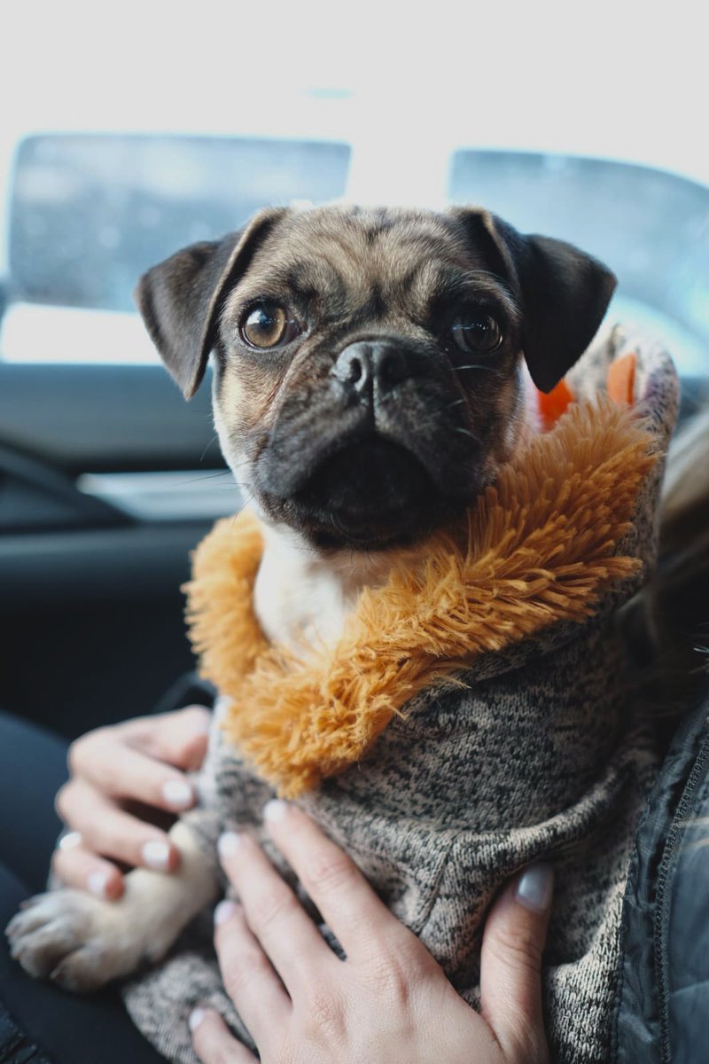 Paco ❤️
