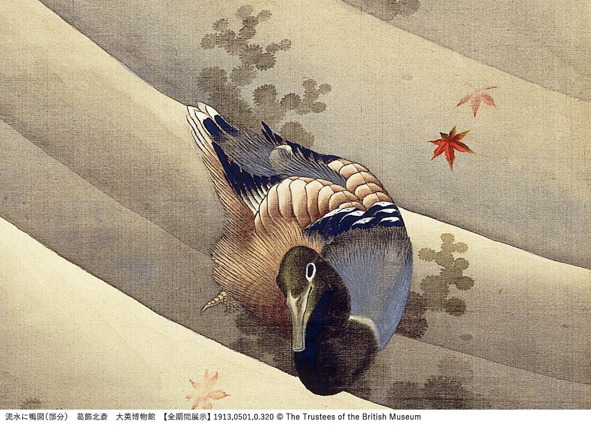鴨の眼の色は？／ 肉筆画の名品《流水に鴨図》。鴨の眼をよく見てみる
