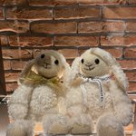 ツイートに含まれる画像