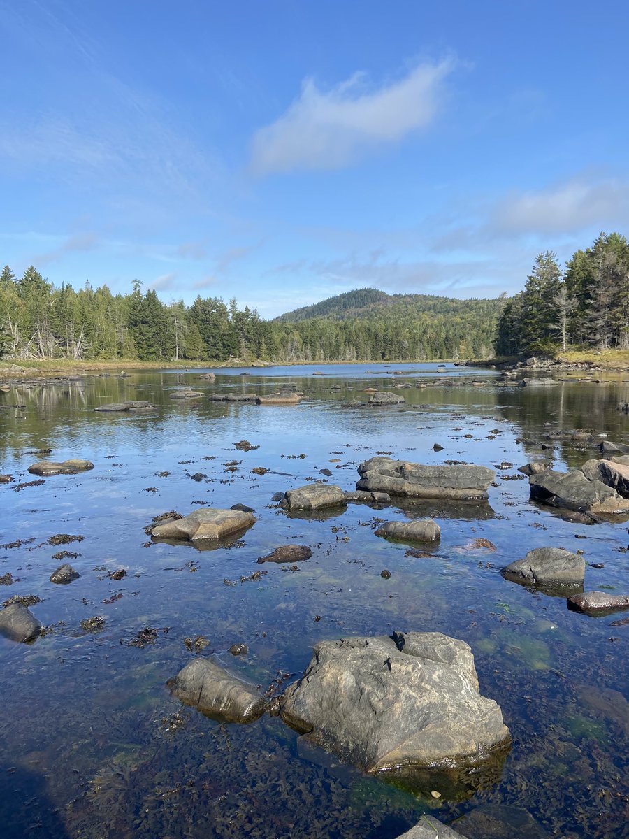 Happy Earth Day from beautiful New Brunswick🌱