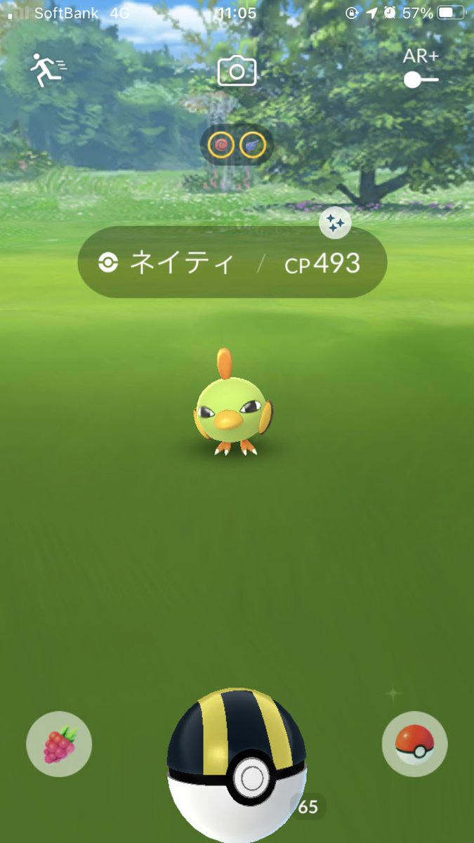 ポケモンgo ネイティの色違い 入手方法と実装状況 攻略大百科