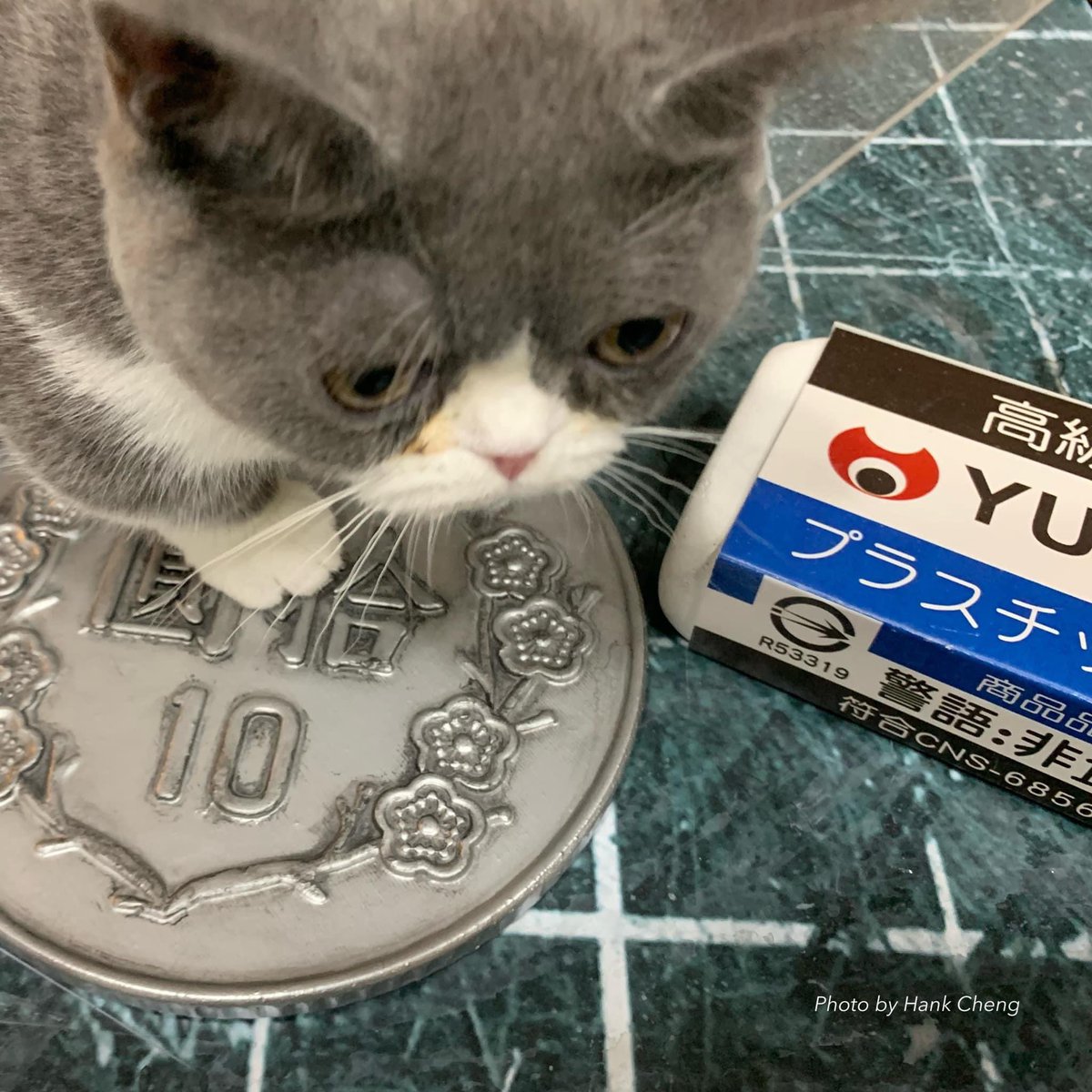 WWBCHANK's tweet photo. これで誰でもジオラマ作れます
7/1スケール https://t.co/Dz1kar345Q